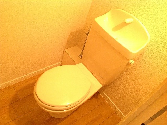 その他写真7