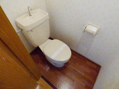 その他写真8