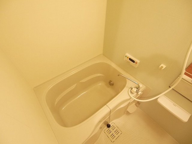 その他写真5