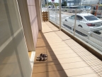 明石市中崎（ＪＲ山陽本線明石駅）の貸家その他8