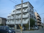 明石市松の内の賃貸